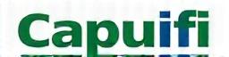 Logo de Capufi Mobility Systems